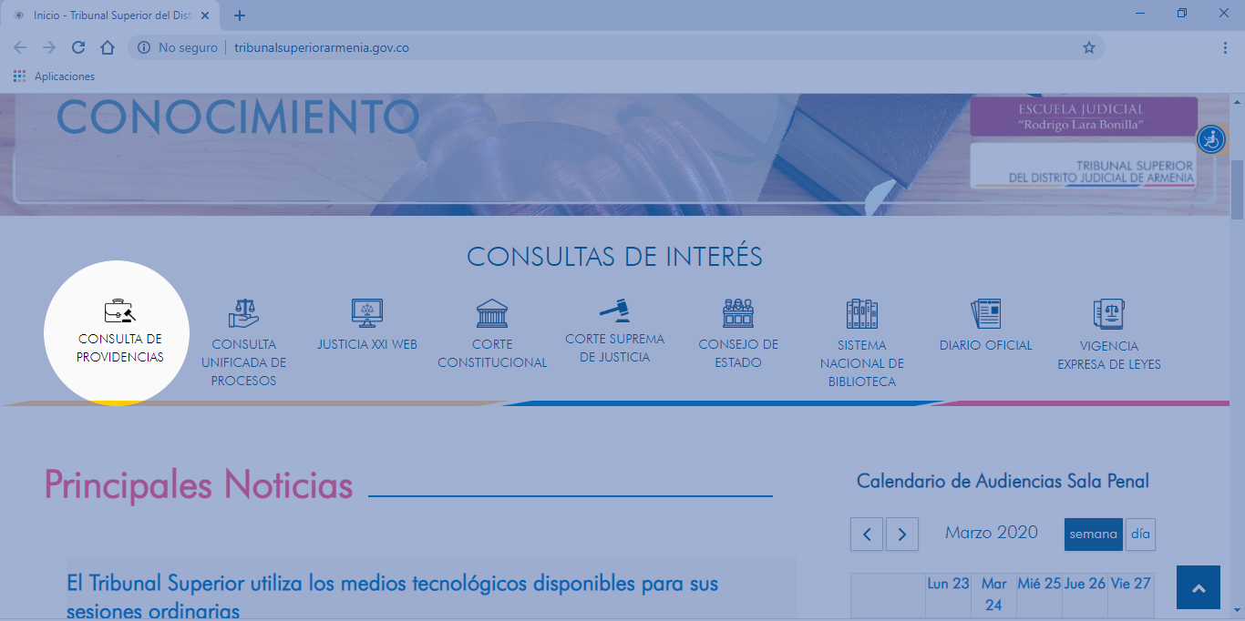 CONSULTA PROVIDENCIAS